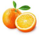 Vyhodnotenie zberu pomarančovej kôry